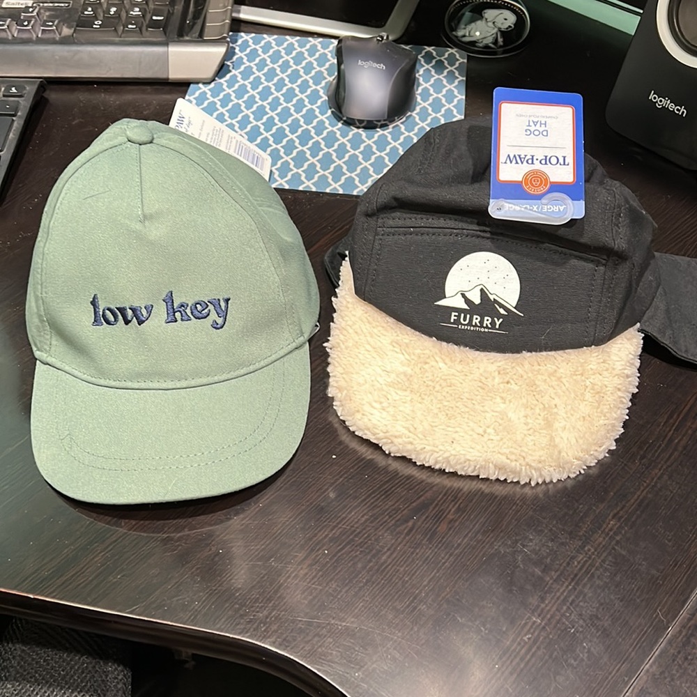 Dog hats